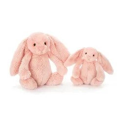 Bashful Bunny Blush Small
