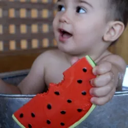 Anneau de dentition Wally la Pastèque