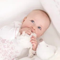 Peluche Musicale Léon Le hérisson Ivoire