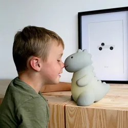 Veilleuse Dino Jeroom Sauge Rechargeable