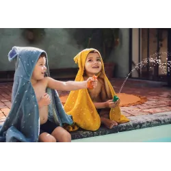 Aspergeurs - Lapin & Renard