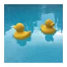 Elvis Le Canard de bain