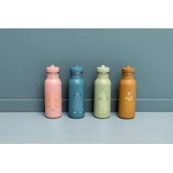 Gourde en acier 350 ml Mr Tricératops