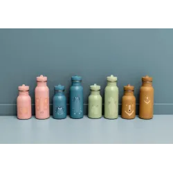 Gourde en acier 500 ml Mr Triceratops