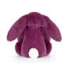 Bashful Allium Bunny Small