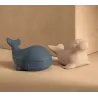 Jeux de Bain Duncan Whale Blue Sandy