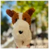 Hector le Fox Terrier