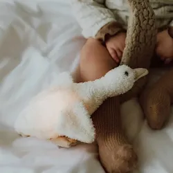 Peluche Lumineuse Liva Ivoire