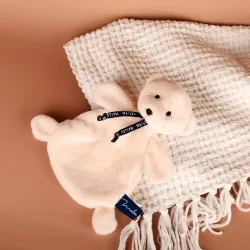 Doudou Ours Ivoire Dorlotin