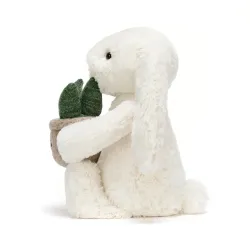 Cream Bunny with Plant