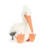 Keli Pelican