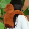Peluche Lestée Podcoll - Capybara - 50 cm
