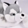 Peluche Lestée Podcoll - Husky - 50 cm