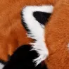 Grande Peluche Lestée Podcoll - Panda Roux - 75 cm