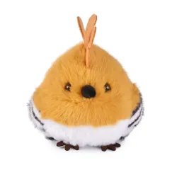 Cui Cui Paradis - Kiwi