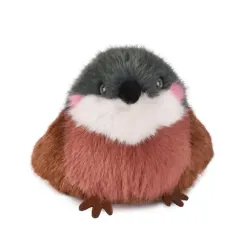 Cui Cui Paradis - Moineau