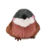 Cui Cui Paradis - Moineau