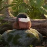 Cui Cui Paradis - Moineau