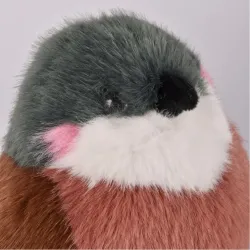 Cui Cui Paradis - Moineau