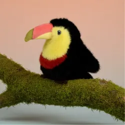 Cui Cui Paradis - Toucan