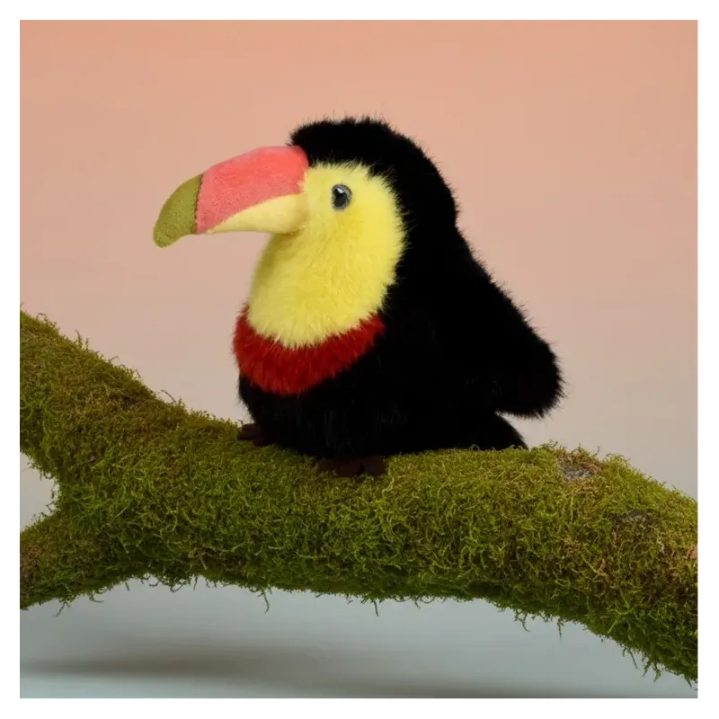 Cui Cui Paradis - Toucan