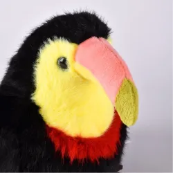 Cui Cui Paradis - Toucan