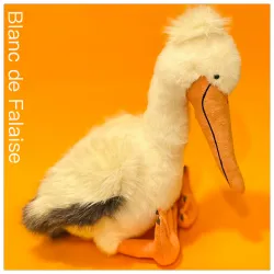 Keli Pelican