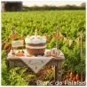 Amuseables Carrot Cake