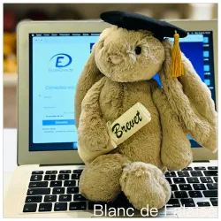Bashful bunny Graduation Outfit