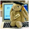 Bashful bunny Graduation Outfit