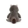 Trixiwoo Raccoon