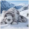 Sacha Snow Tiger