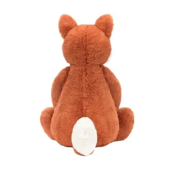Bashful Fox Cub Really Big