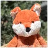 Bashful Fox Cub Really Big