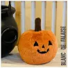 Ooky Jack O Lantern
