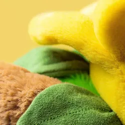 Bartholomew Bear Daffodil