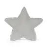 Amuseables Star Silver (2026)